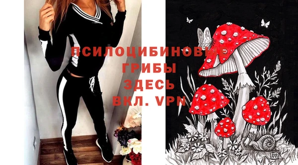 первитин Алексин
