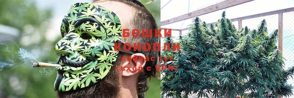 ГАЛЛЮЦИНОГЕННЫЕ ГРИБЫ Алексеевка