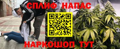спиды Лениногорск