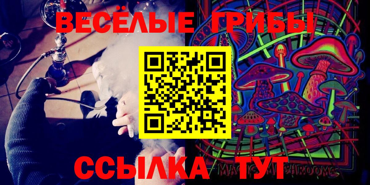 Галлюциногенные грибы Psilocybine cubensis Троицк
