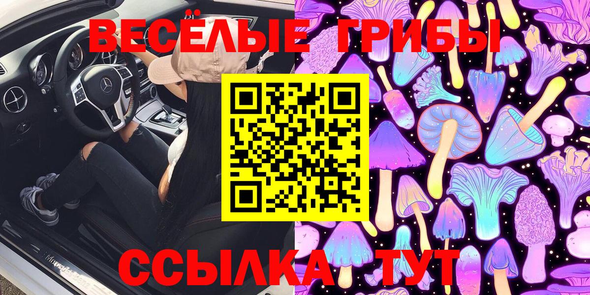 Галлюциногенные грибы Psilocybine cubensis  Вход с VPN  Троицк 